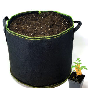 Pot with Soil