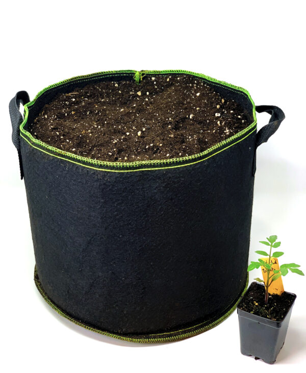 Pot with Soil