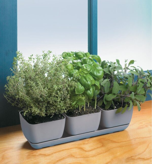 Trio Planter